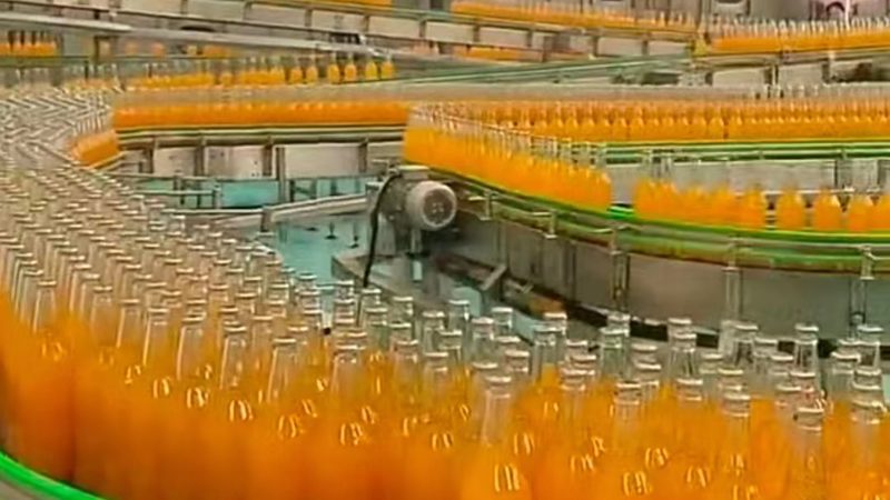 全自动馄饨机：揭秘其工作原理与选购要点